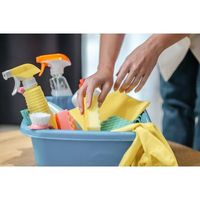 основно почистване - 29859 варианти