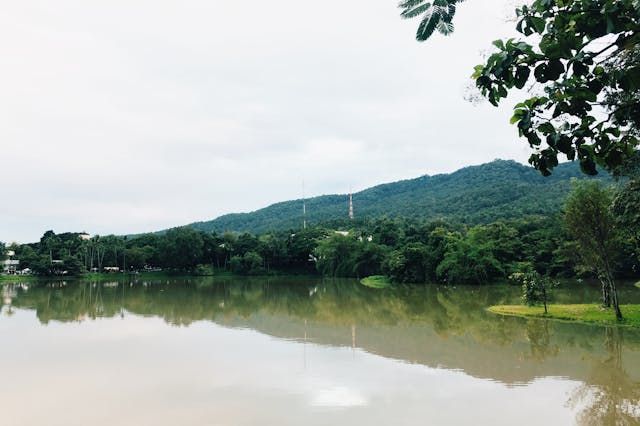 езеро Света гора - 97366 бестселъри