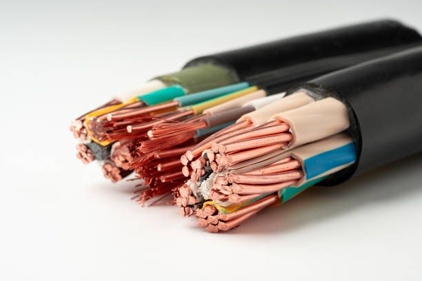Multi Conductor Cable - 31231 the species