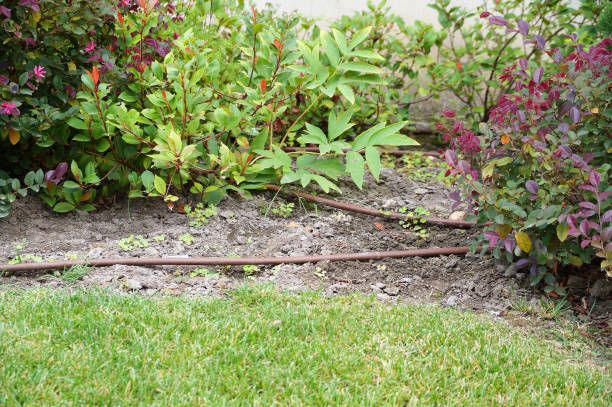 изграждане на напоителни системи - 43486 промоции