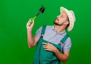 инструменти за градина - 97545 новини