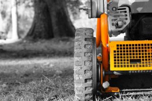 Orec - 50735 снимки