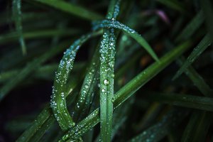 изскачащ разпръсквач - 2576 клиенти