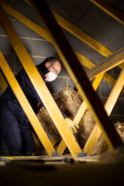 минерална вата - 62368 новини