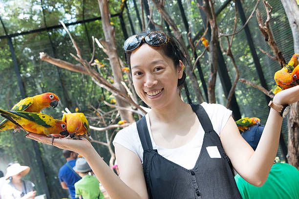 Ръчно хранене на папагали - 27892 разновидности