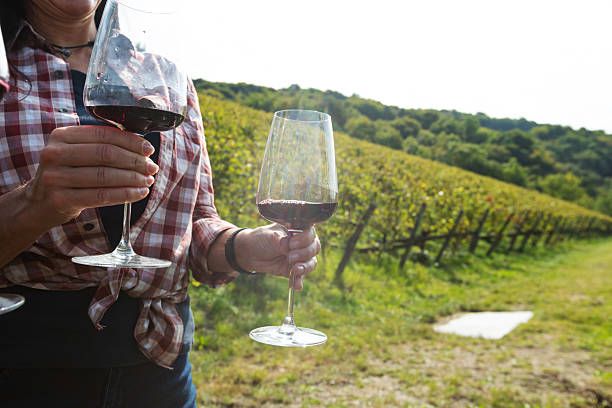 монтепулчано вино - 45787 възможности