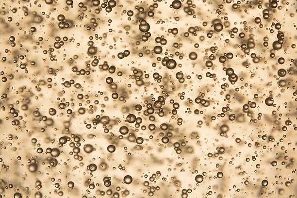 вино просеко тревизо - 90064 разновидности