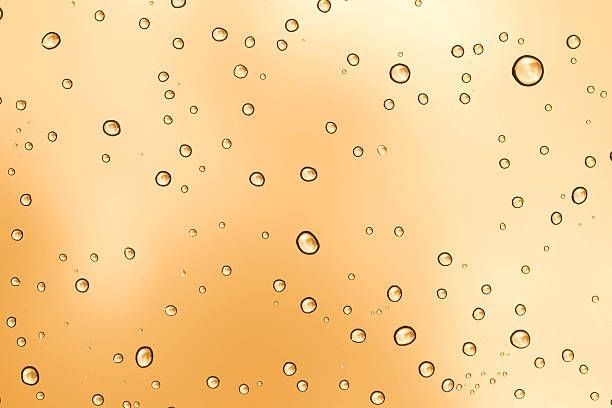 вино просеко тревизо - 90719 типа