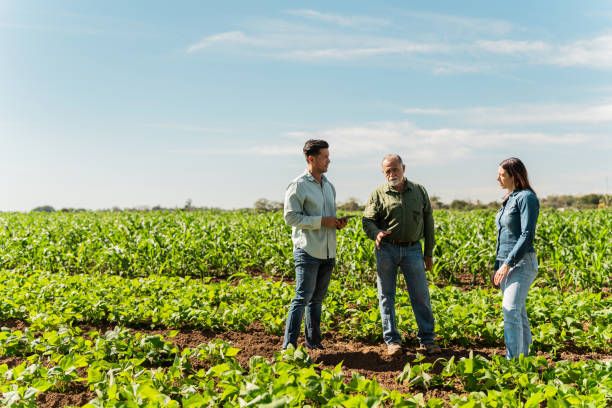 агро новини - 44330 клиенти | agrovest.bg агро новини - 95691 клиенти