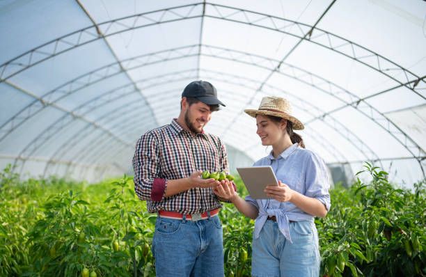 МЗХ - 65275 награди