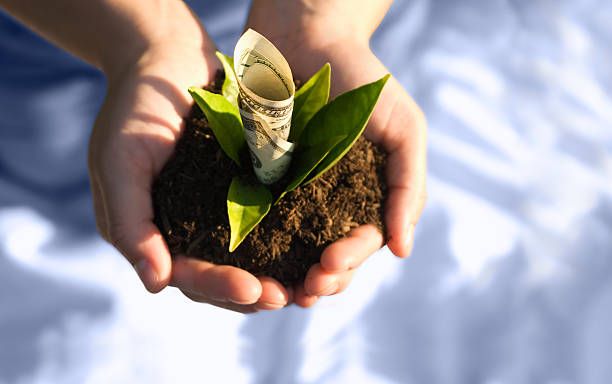 субсидии - 58279 варианти | agrovest.bg субсидии - 44364 варианти