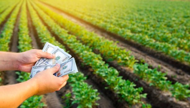 субсидии - 91898 разновидности | agrovest.bg субсидии - 29558 разновидности