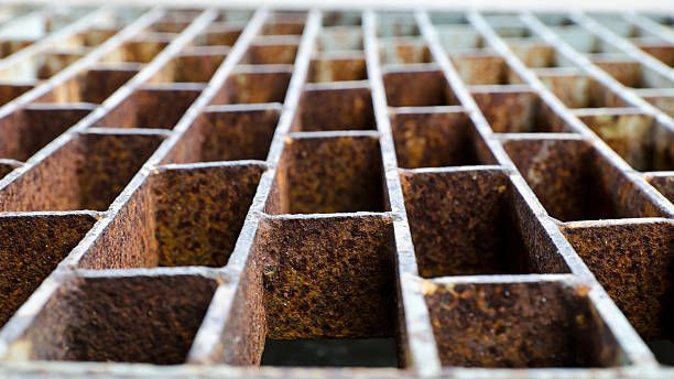 покривни пътеки - 69666 разновидности