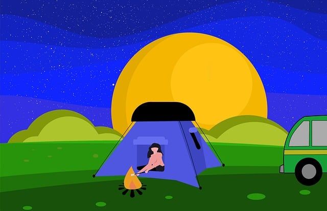 двуместни палатки - 75985 разновидности